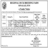 Duck Feed & Rice Husk Procurement (Feni)