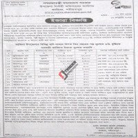 Lease   collection